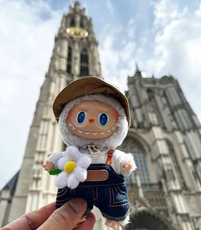 لابوبو كاسينغ لونغ