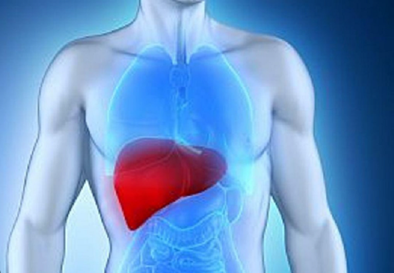 باحثون كنديون كشفوا عن دور بكتيريا الأمعاء الضارة في زيادة حالات سرطان الكبد