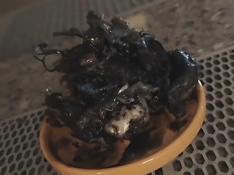 جدل حول فيديو يدعي صاحبه أنه لكائن فضائي ينمو داخل نيزك