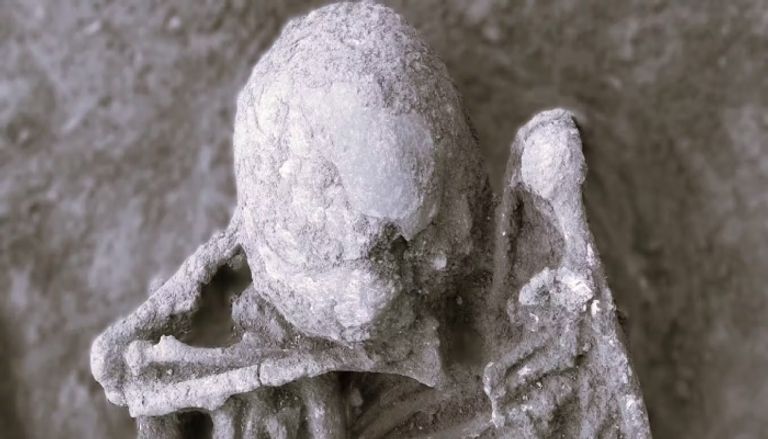 دراسة تكشف سر تحنيط الجثث بالدخان دراسة تكشف سر تحنيط الجثث بالدخان