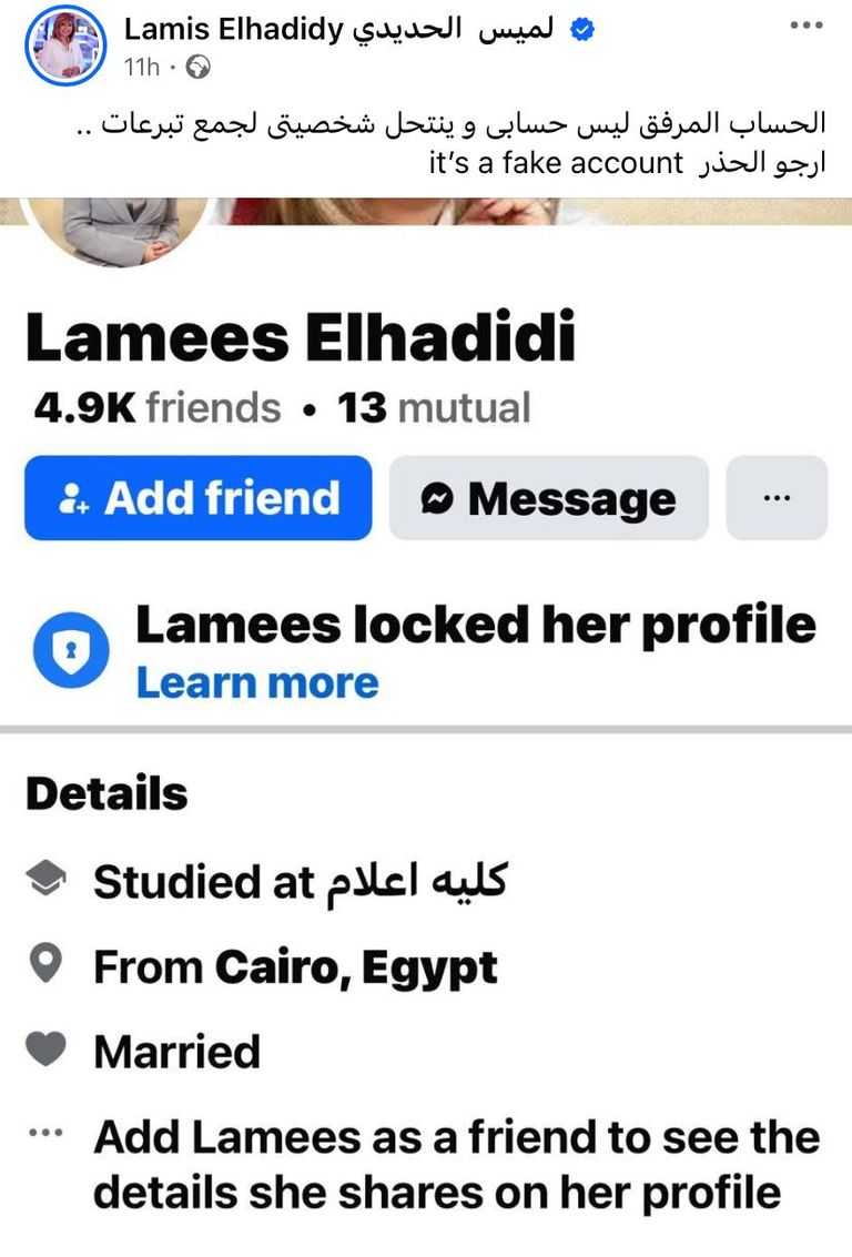 لميس الحديدي