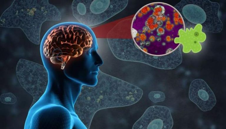مرض «الأميبا آكلة الدماغ» ينتشر في الهند