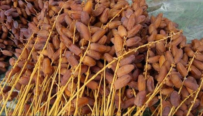 تمور «دقلة النور» التونسية