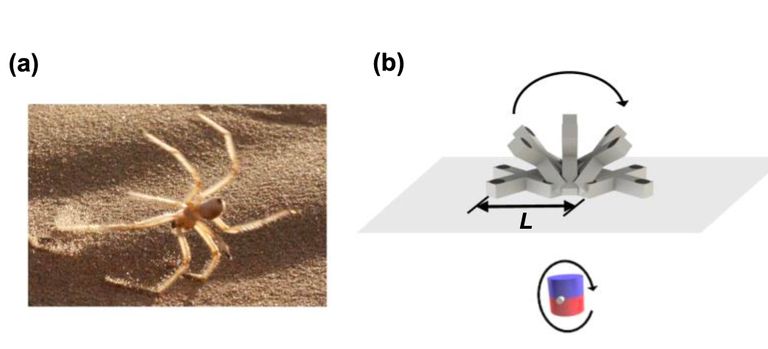 ارتفاع كبير في معدلات الإصابة بسرطانات الجهاز الهضمي في العقود الأخيرة