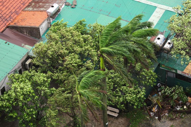 بعثة الإمارات في فيتنام تحذر مواطنيها من إعصار راغاسا بعثة الإمارات في فيتنام تحذر مواطنيها من إعصار راغاسا