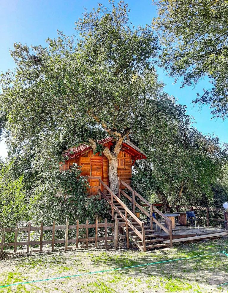 بني مطير في تونس