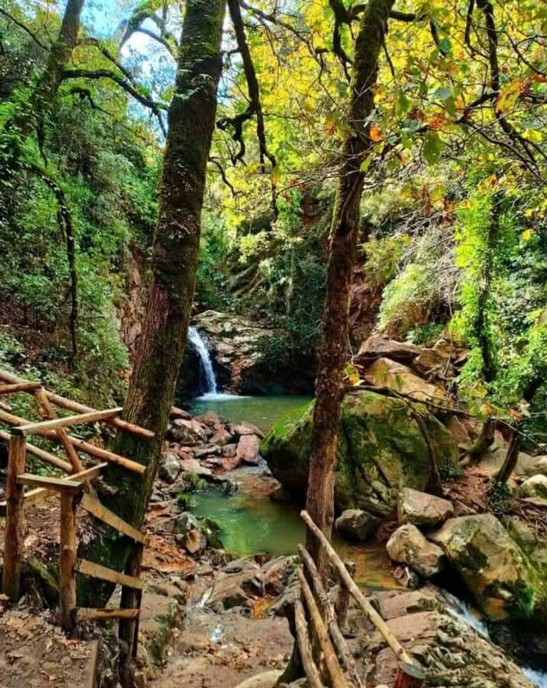 بني مطير في تونس