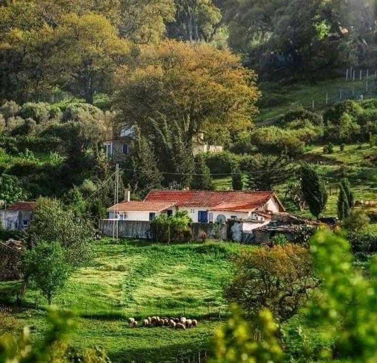 بني مطير في تونس
