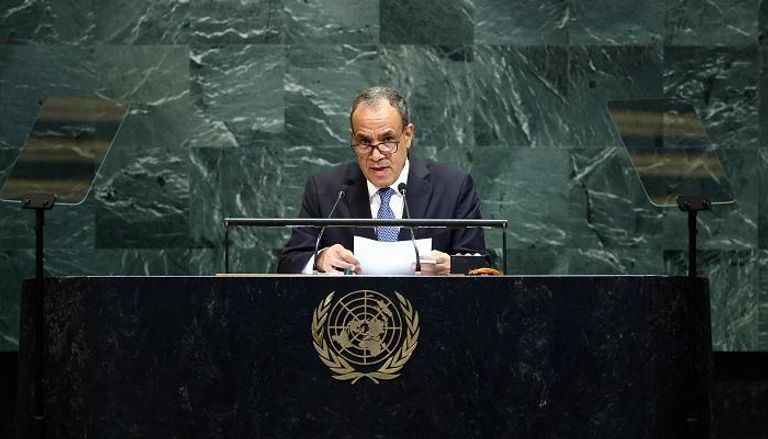 وزير الخارجية المصري بدر عبدالعاطي