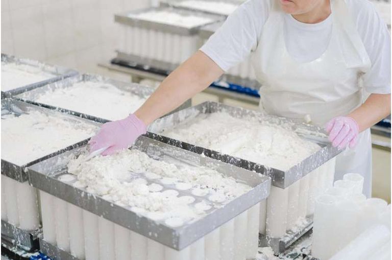 الحليب المبستر الملوث بإنفلونزا الطيور لا يشكل خطراً على الصحة