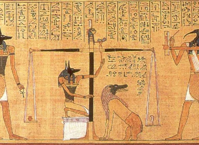 اليوم العالمي للقلب