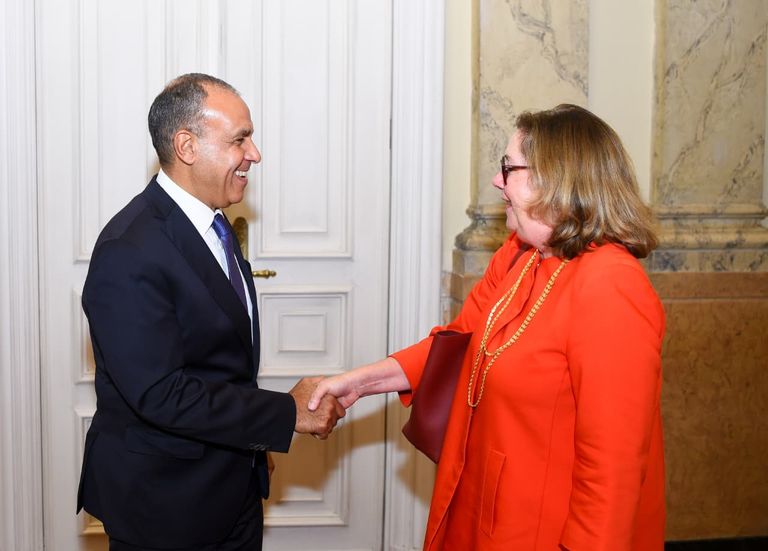 وزير الخارجية المصري يستقبل مدير القوة متعددة الجنسيات في سيناء