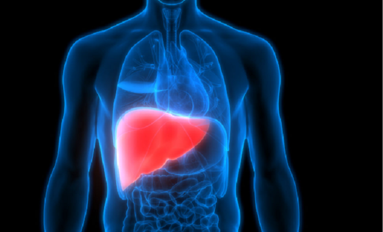 اختبار بسيط يتنبأ بخطر الكبد قبل ظهور الأعراض 