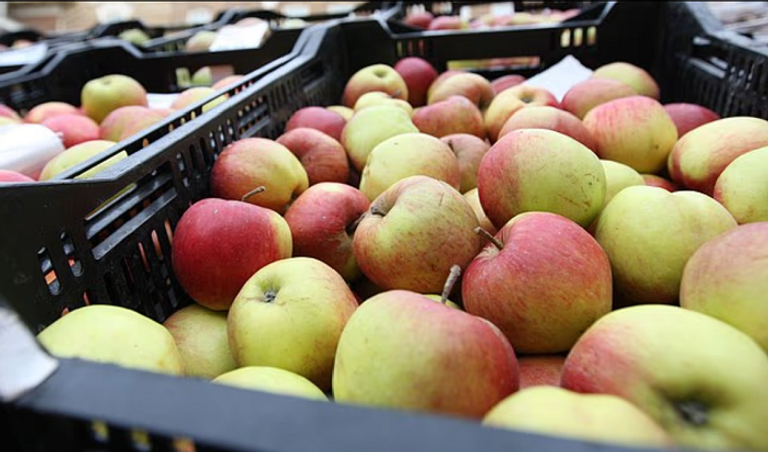 التفاح خمس فواكه ينصح الأطباء بتناولها أسبوعيا