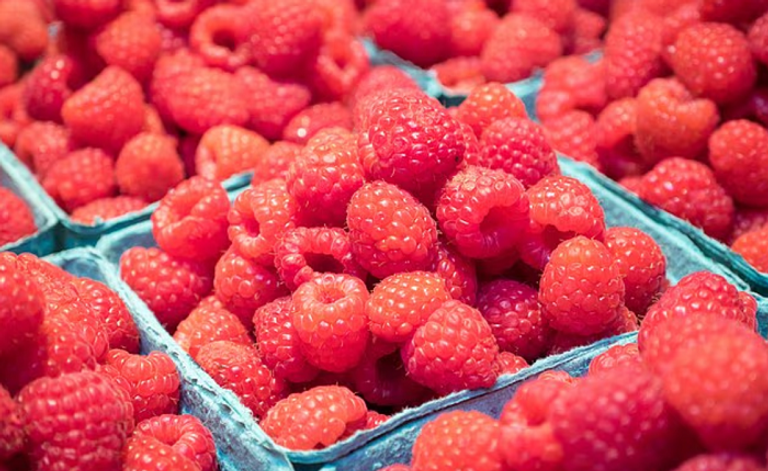 التوت الأحمر خمس فواكه ينصح الأطباء بتناولها أسبوعيا