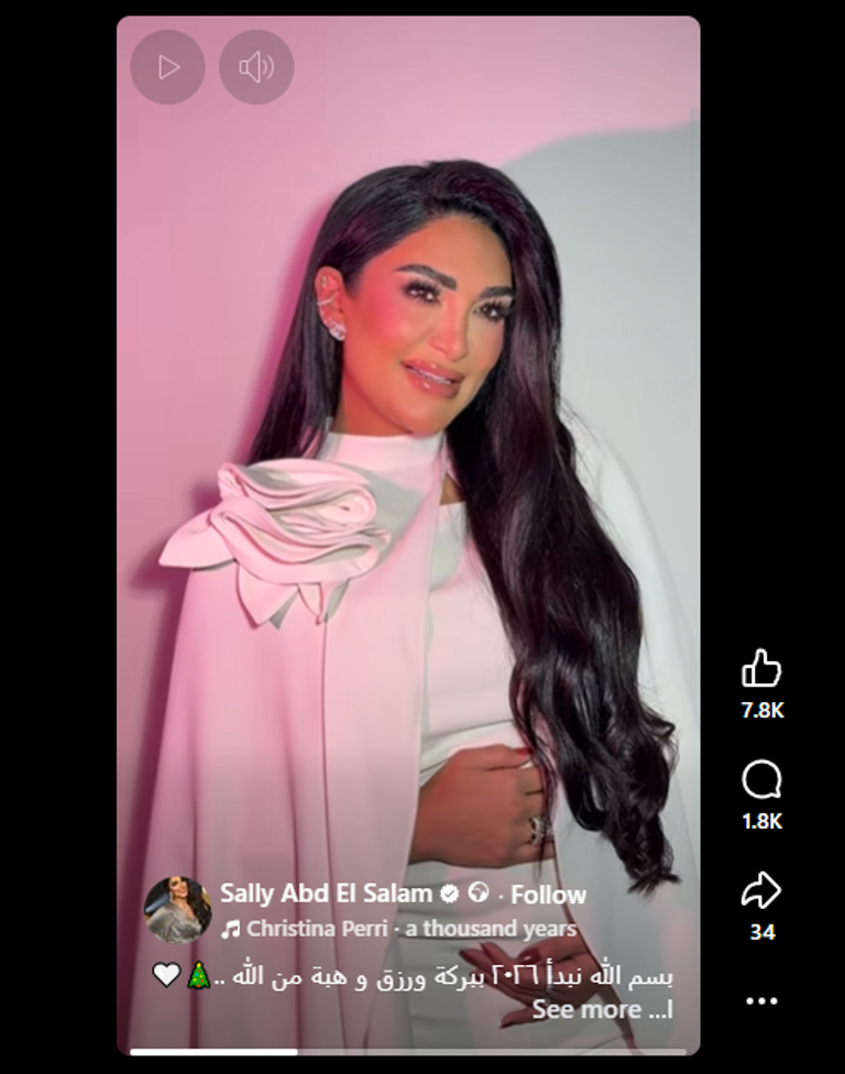 سالي عبدالسلام 