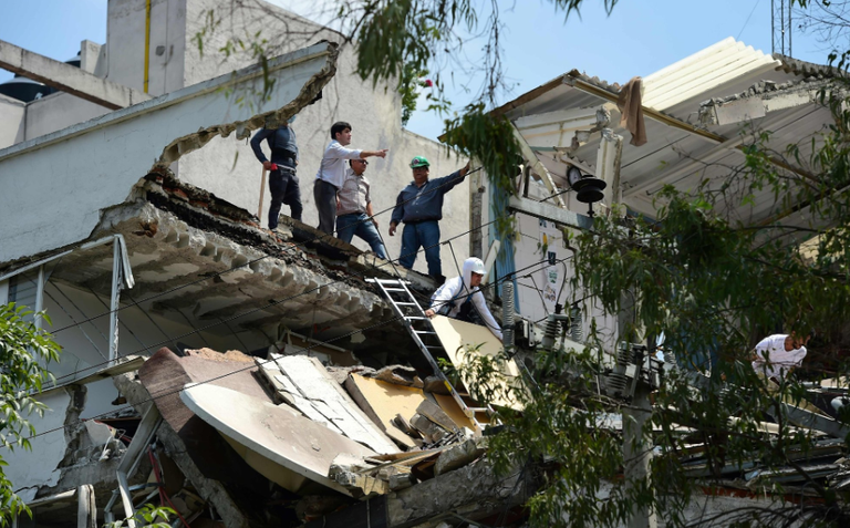 الرئيسة كلاوديا شينباوم