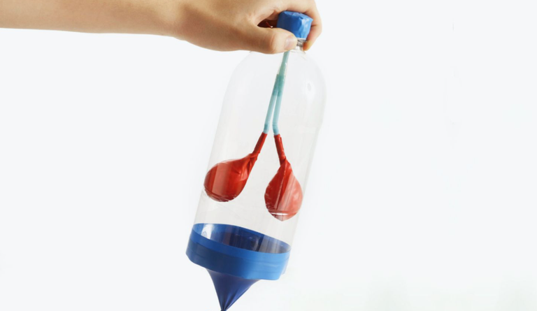 ابتكار رئة مصغرة