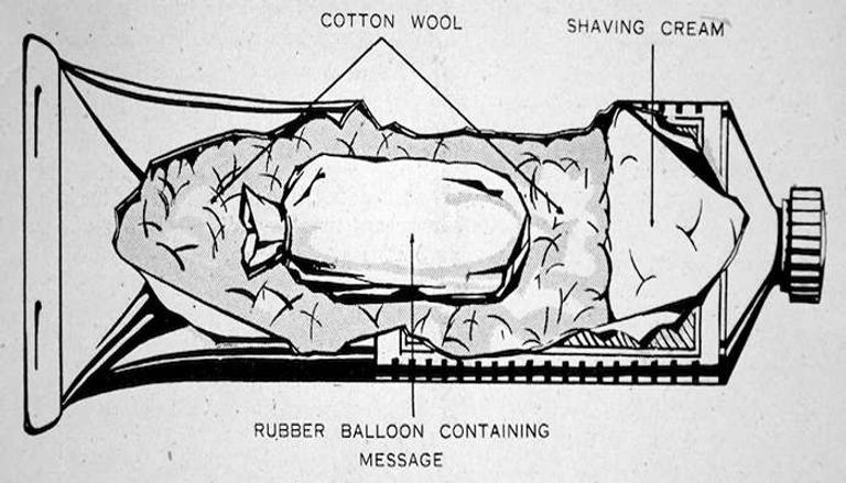 فأر نافق محشو بالمتفجرات