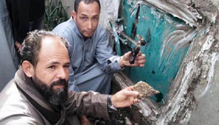 خلايا عسل النحل عثر عليها داخل المقبرة بقرية الكمايشة بمحافظة المنوفية المصرية