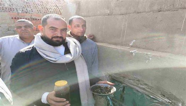 خلايا عسل النحل عثر عليها داخل المقبرة بقرية الكمايشة بمحافظة المنوفية المصرية