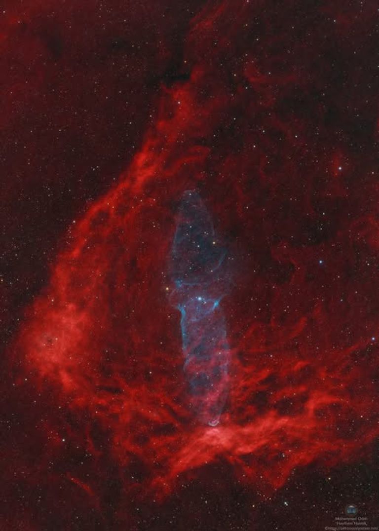 سديم الحبار كما تم تصويره 