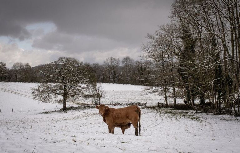 الثلج في باريس