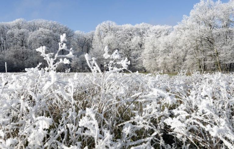 الثلج في باريس