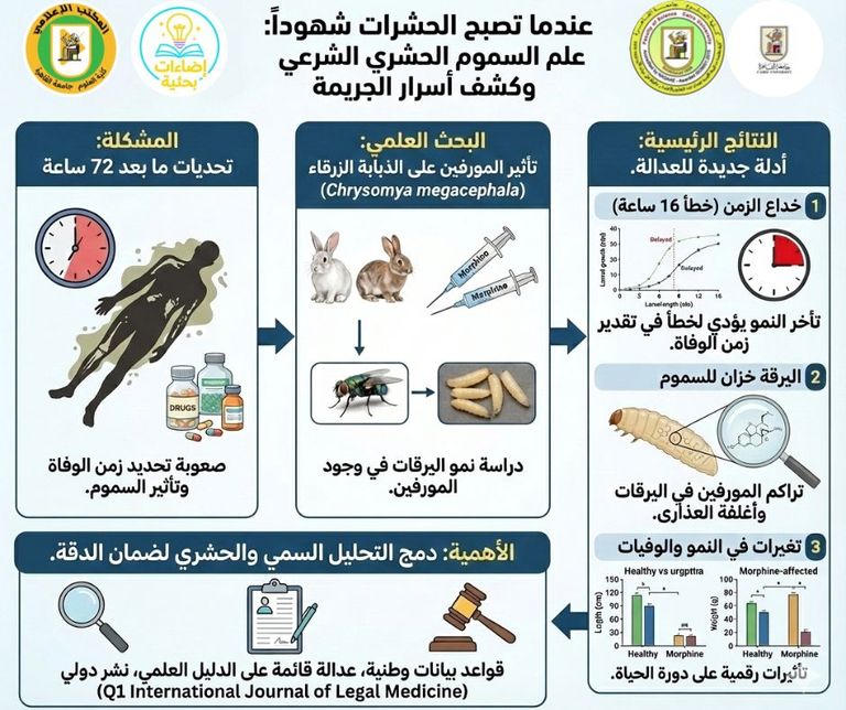 الذبابة الزرقاء تلعب دورا مهما في علم الحشرات الجنائي