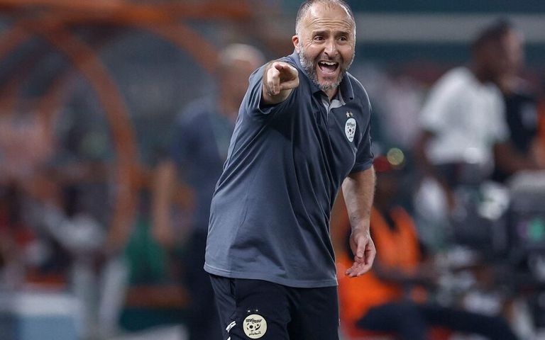 عادل بولبينة، موهبة منتخب الجزائر