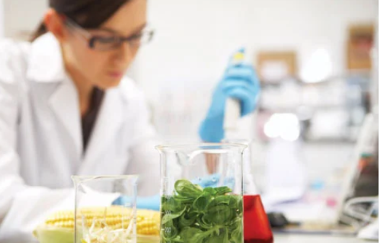 علماء يربطون بين المواد الحافظة للأطعمة والإصابة بسكري النوع الثاني