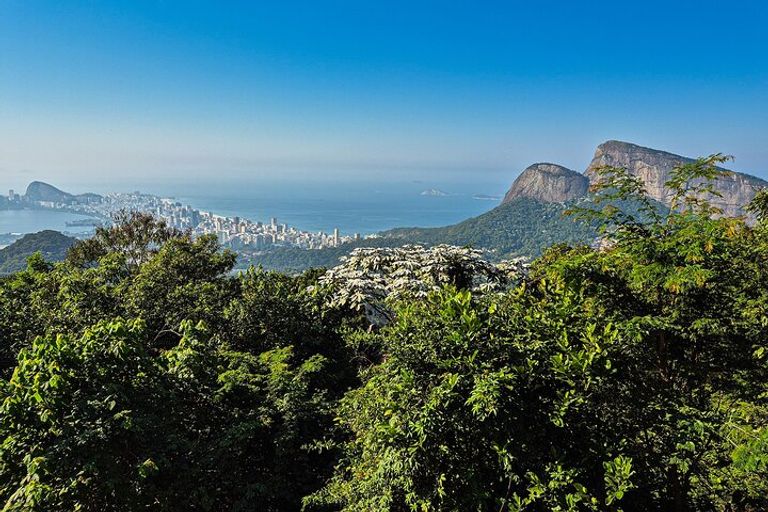 مدينة ريو دي جانيرو