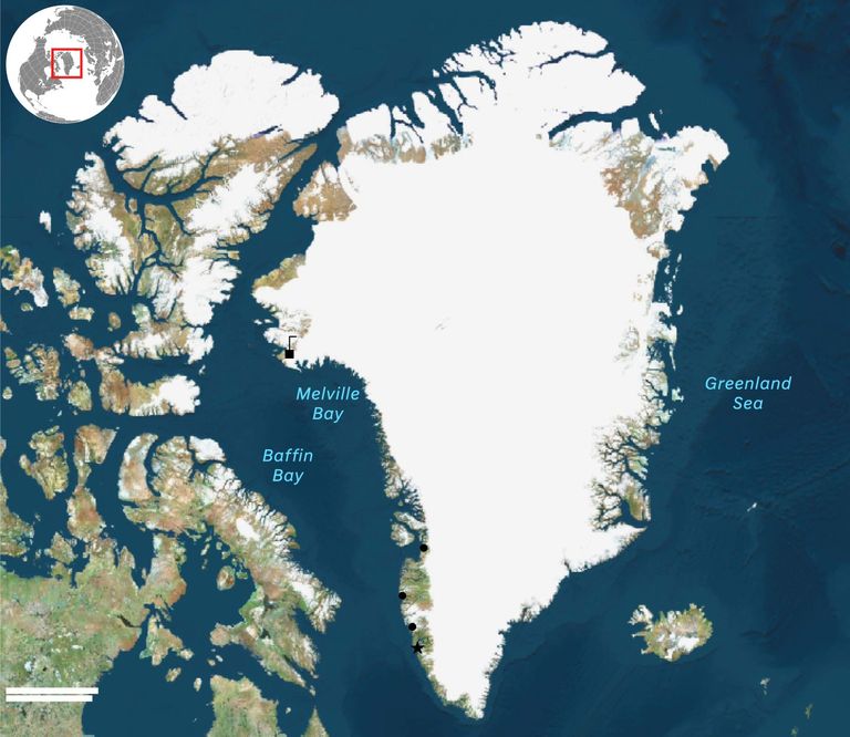 غرينلاند - AP