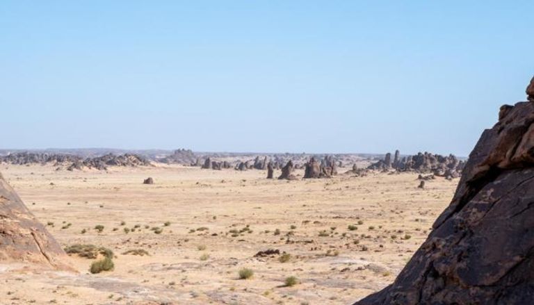 اكتشاف أحافير نادرة في العُلا 