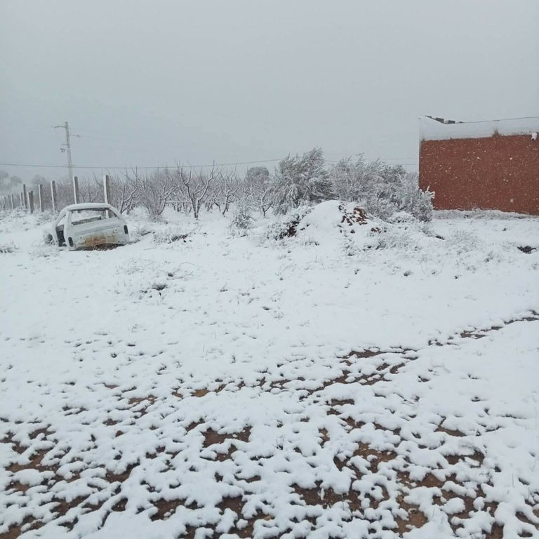 الثلوج بالمرتفعات الغربية لتونس