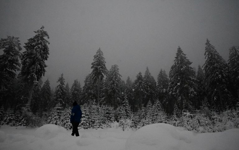 عواصف ثلجية في أوروبا - أ ف ب
