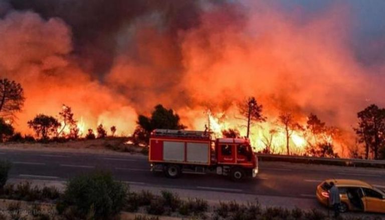 حرائق الغابات