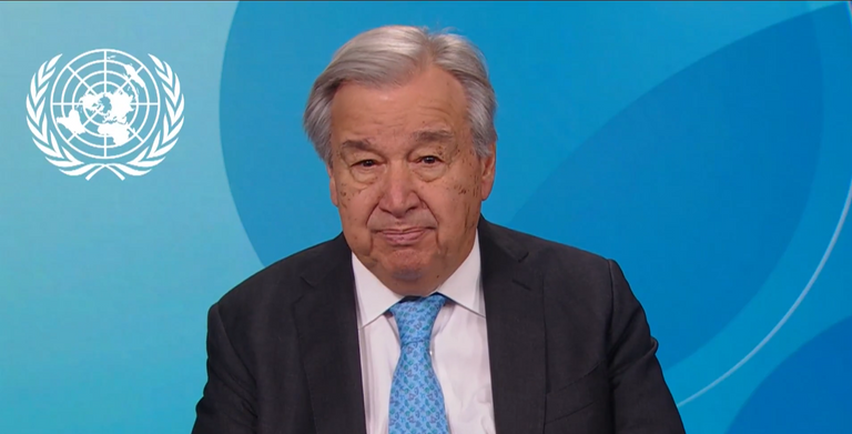 جانب من المشاركين في جمعية «آيرينا» 