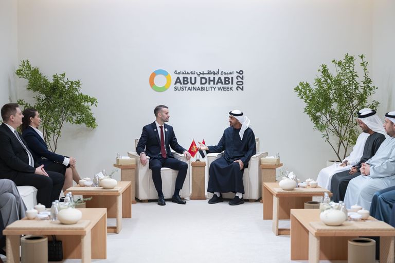  الشيخ محمد بن زايد آل نهيان وبولا أحمد تينوبو - وام