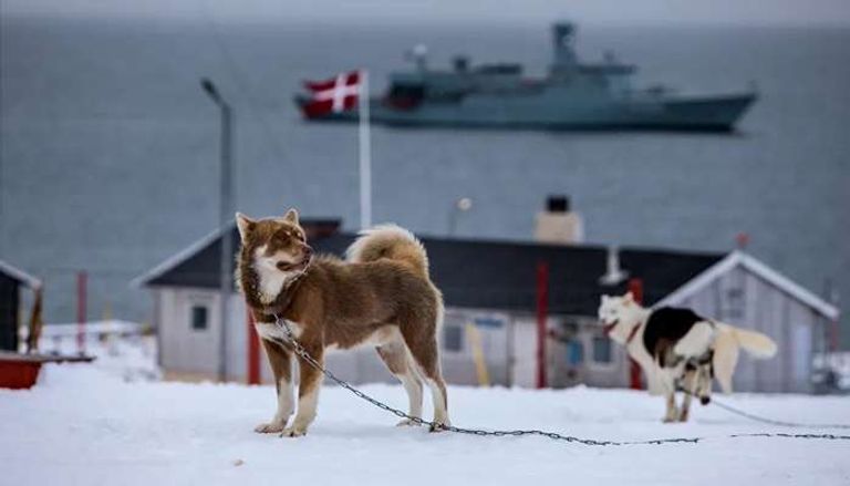 جنديان في وحدة سيريوس يقومان بالدورية
