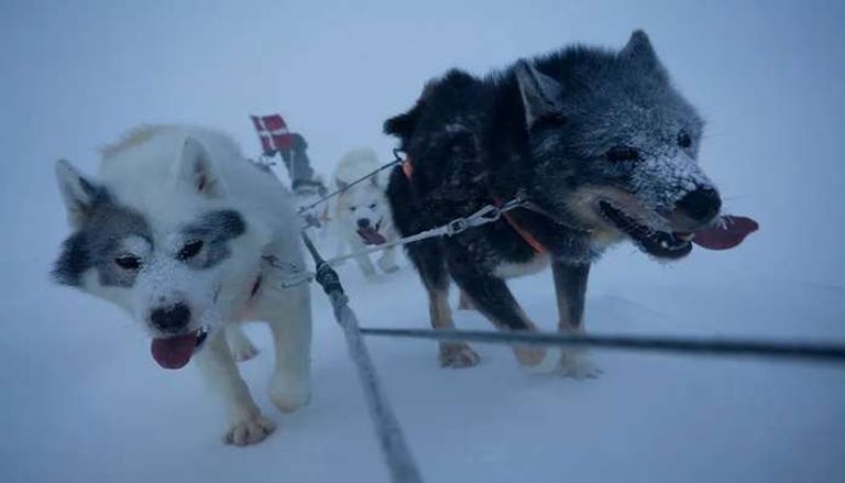 جنديان في وحدة سيريوس يقومان بالدورية