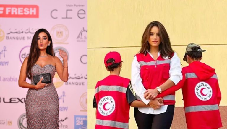 أحمد عز وزينة 