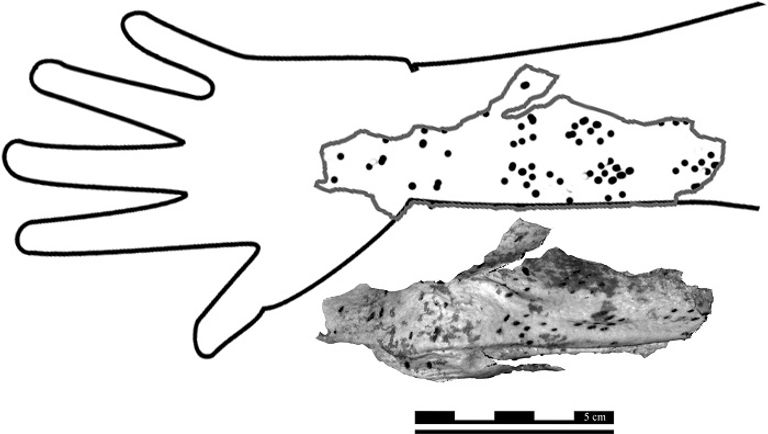 تصور فني للوشوم على الجبهة والصدغين والخدين للأطفال