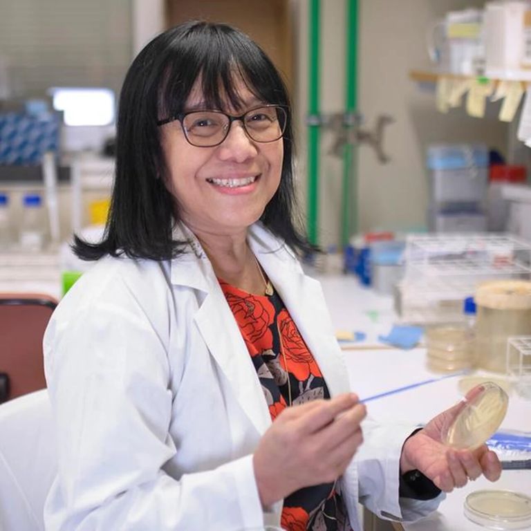 بكتيريا الكوليرا قادرة على تثبيط نمو سرطان القولون والمستقيم.