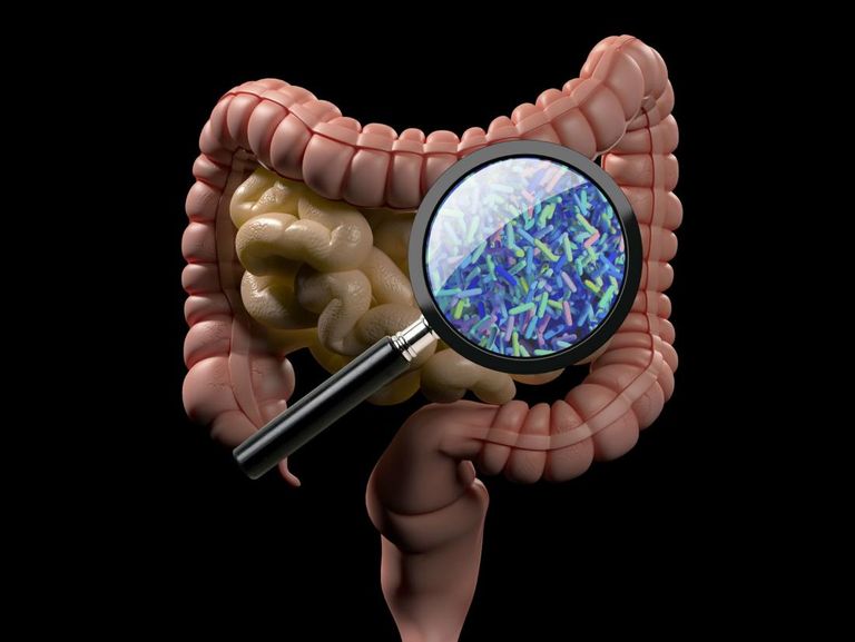  ميكروبيوم الأم قد يحمي طفلها من أمراض الكبد