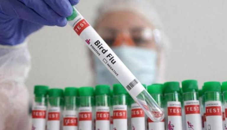 تفشي الإنفلونزا في فرنسا