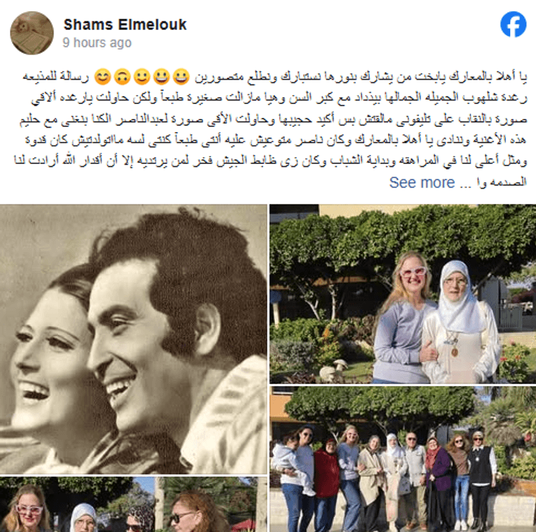 شمس البارودي