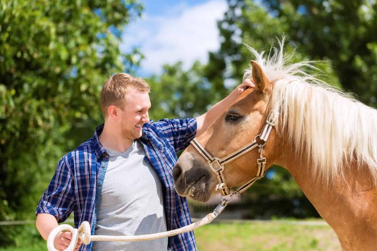 الخيول تشم الخوف البشري