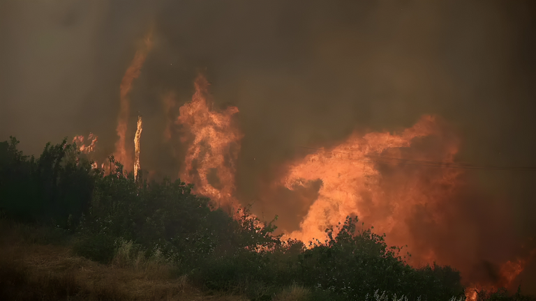 حرائق جنوب تشيلي