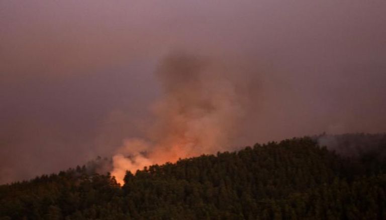 حرائق الغابات في تشيلي